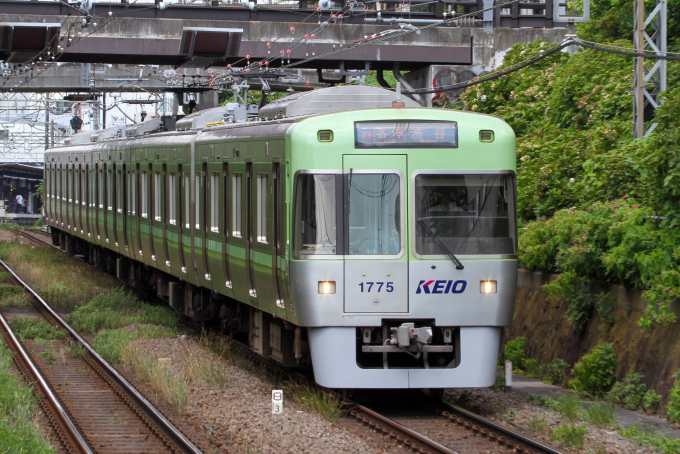 1000系・ライトグリーンの車両写真