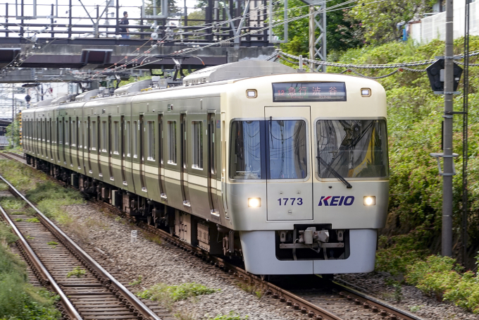 1000系・アイボリーホワイトの車両写真