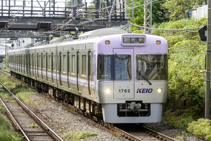 1000系・バイオレットの車両写真