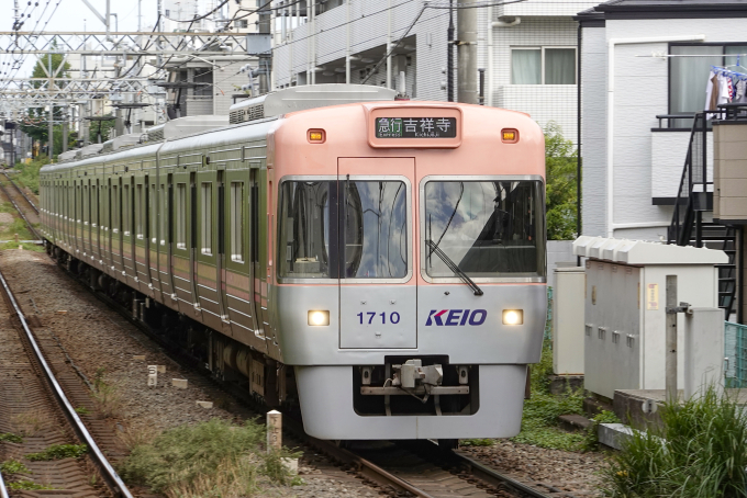 1000系・サーモンピンクの車両写真