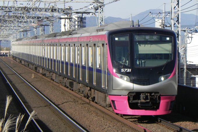 5000系の車両写真