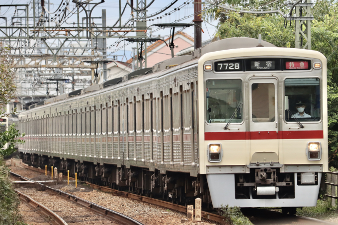 7000系・復刻塗装の車両写真