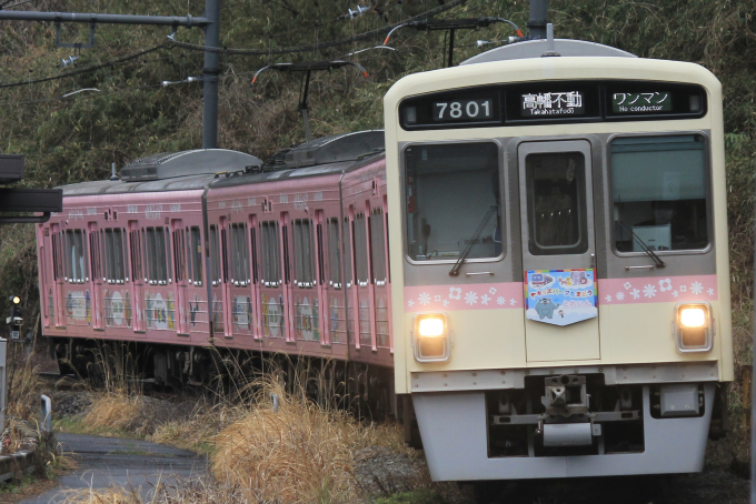 7000系・キッズパークたまどうトレインの車両写真