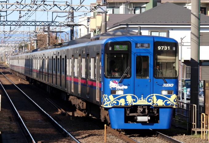 9000系・サンリオキャラクターズ ラッピングトレインの車両写真