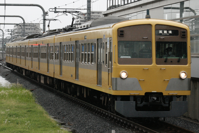101系・イエロー×ベージュの車両写真