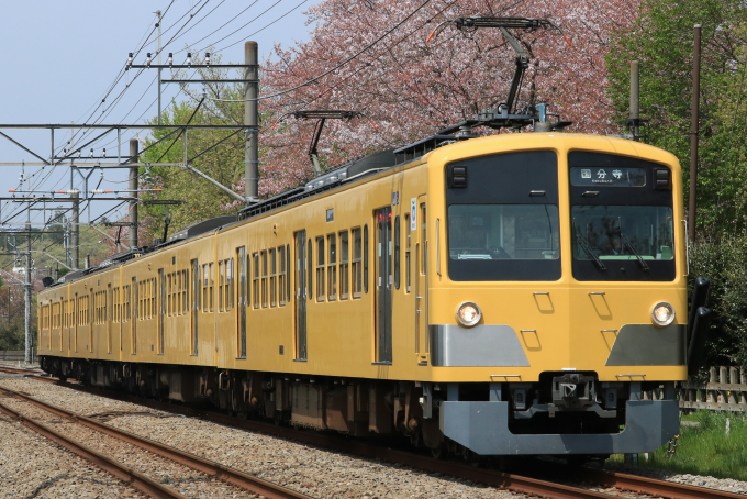 101系・イエローの車両写真