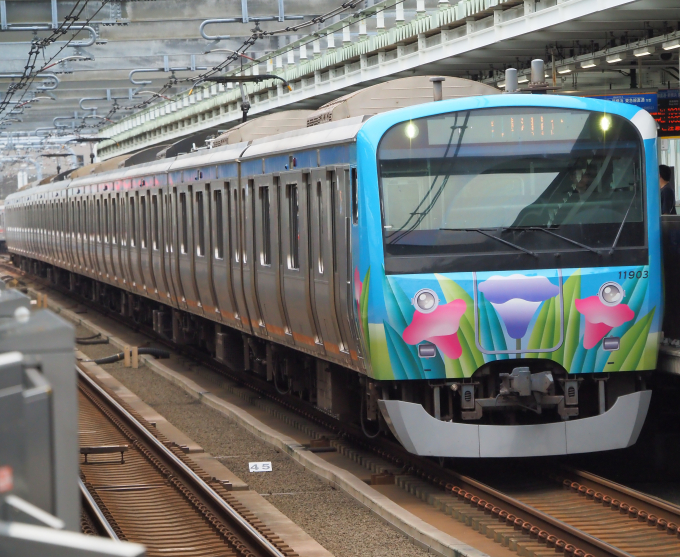 11000系・ほほえみ号の車両写真