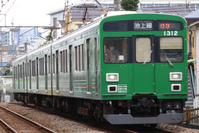 1000系・緑の電車の車両写真
