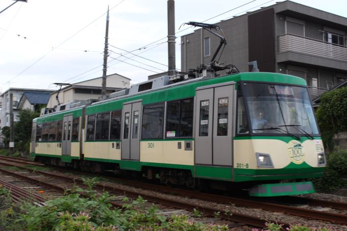 300系・玉電カラーの車両写真
