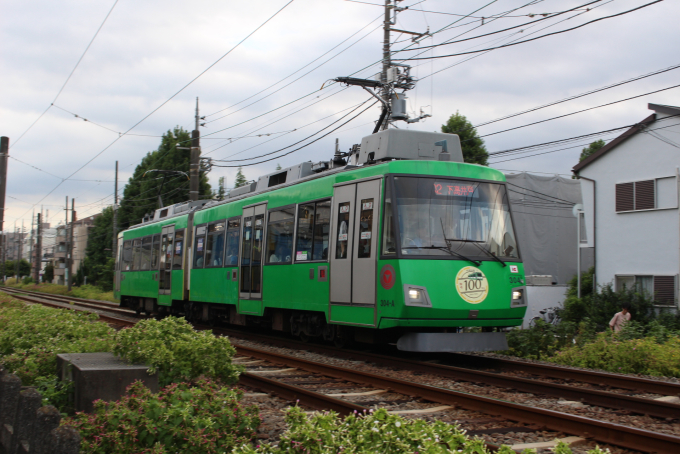 300系・アップルグリーンの車両写真