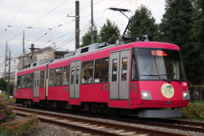 300系・チェリーレッドの車両写真