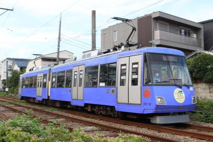 300系・ブルーイッシュラベンダーの車両写真