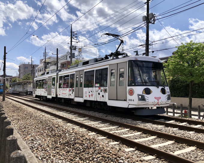 300系・幸福の招き猫電車の車両写真