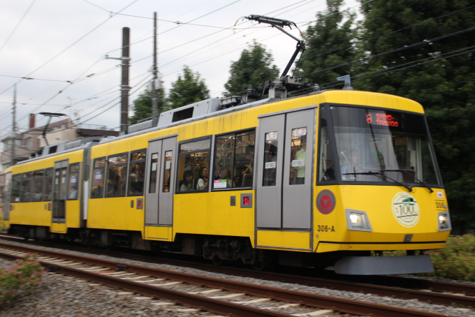 300系・レリーフイエローの車両写真