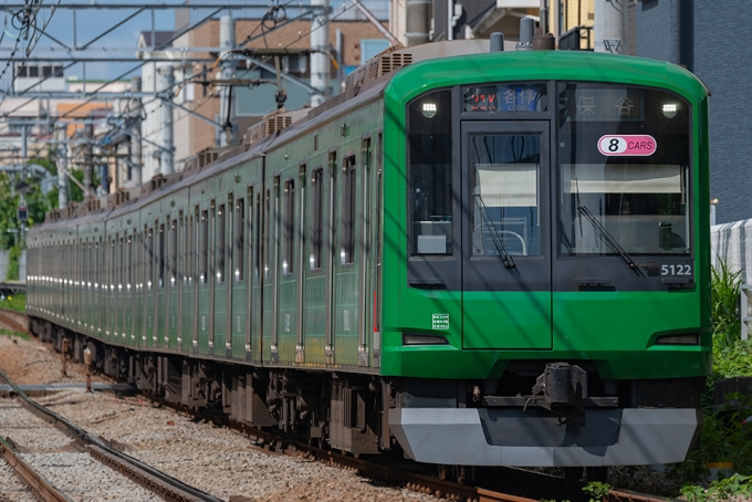 5000系・青ガエルの車両写真